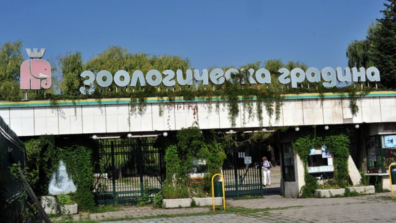 Извънредно положение в Зоопарк София  