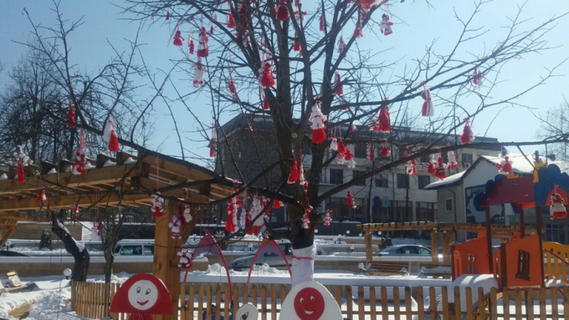 Красиво дърво с точно 104 мартеници цъфна в Кирково