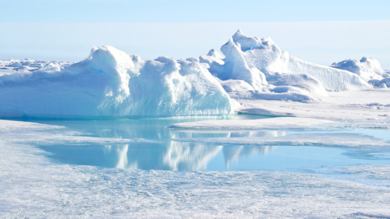 За втора поредна година ледената покривка през лятото в Антарктида намалява