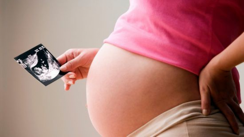 Експерти от Империал Колидж с ценни съвети за храненето на бременните и кърмачките