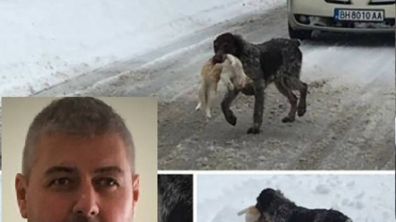 Само в БЛИЦ: Бизнесменът Георги Костурков със сензационен коментар за кучето с разкъсаната котка 