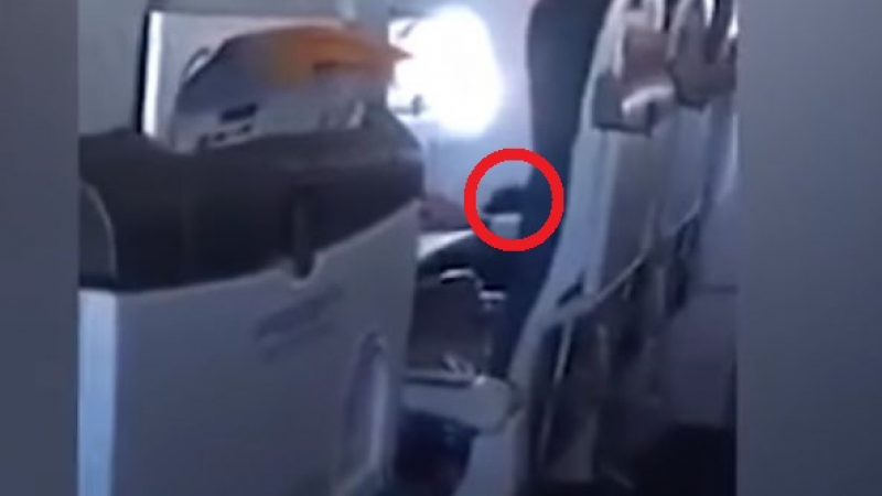 В крачка! Спипаха пътник да се самозадоволява по време на полет (ВИДЕО)