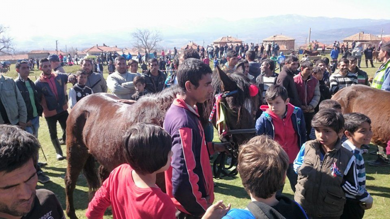 Зрелищно в БЛИЦ TV: Яки коне теглеха тонове тежести в карловско село (СНИМКИ)