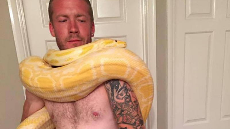 Защитничка на животните не позволи да бъде приспана змията, която удуши сина ѝ (СНИМКИ)