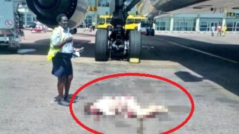 От последните минути: Разбра се коя е българската стюардеса, паднала от "Боинг 777" на "Емирейтс" (СНИМКИ 18+)
