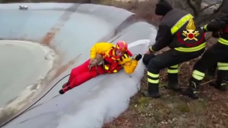 Италиански огнеборци спасиха лисица от страховита ледена клопка (ВИДЕО)