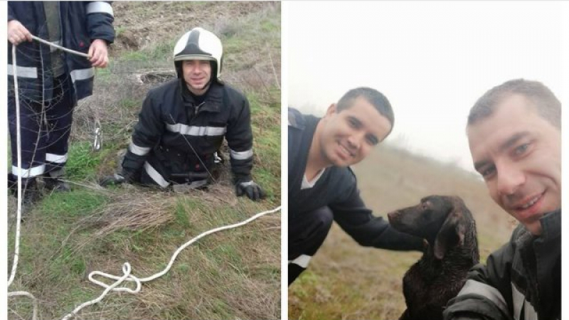 Пловдивски пожарникар извърши подвиг, за да спаси куче (СНИМКИ)
