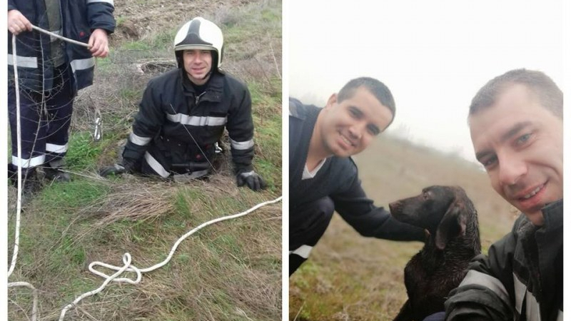 За пример! Пожарникари спасиха куче от сигурна смърт, спуснаха се в 4-метрова шахта, а после...