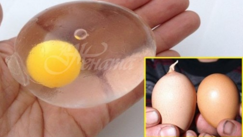Много полезно: Как да разберете дали яйцата са истински? (СНИМКИ)