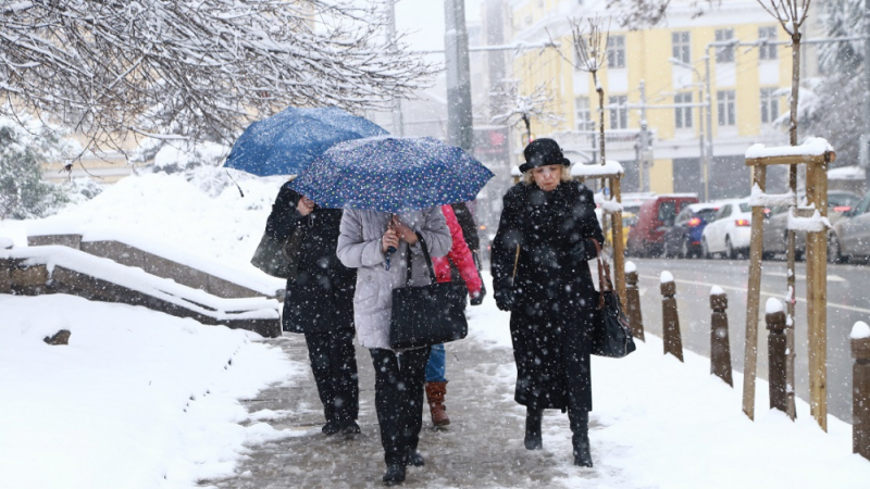 Климатологът проф. Георги Рачев разкри за каква необичайна зима трябва да се готви цяла Европа