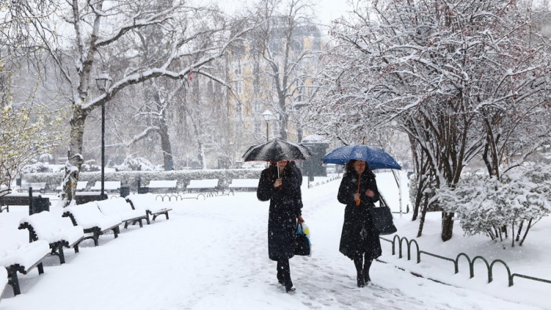 Зимата вече е факт! Синоптиците обявиха в кои 20 области се очакват обилни валежи от сняг и дъжд (КАРТА)