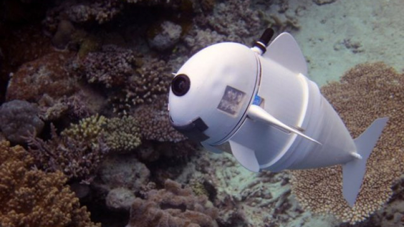 Учени създадоха риба-робот за подводни изследвания (ВИДЕО)