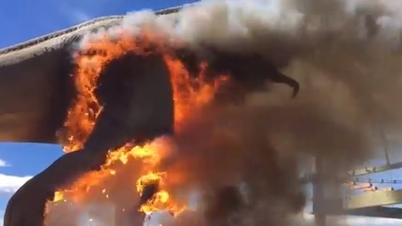 Зрелищно ВИДЕО! Ето как огромният тиранозавър Ти-Рекс изгоря за секунди