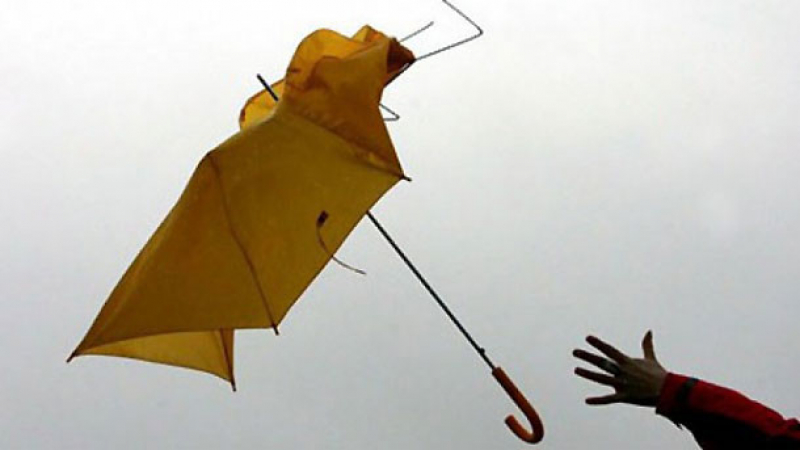 Жълт код за бурен вятър е в сила за 16 области в страната