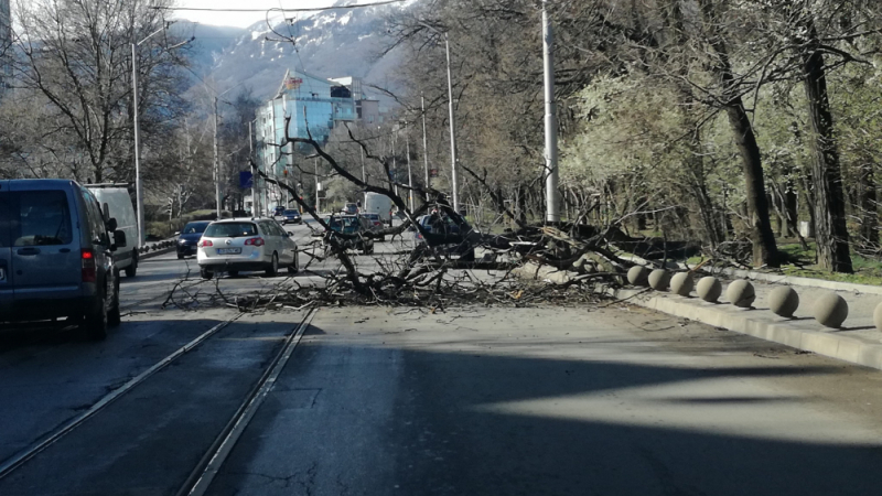 Първо в БЛИЦ! Страшна ситуация на столичния „Черни връх“ (СНИМКА)