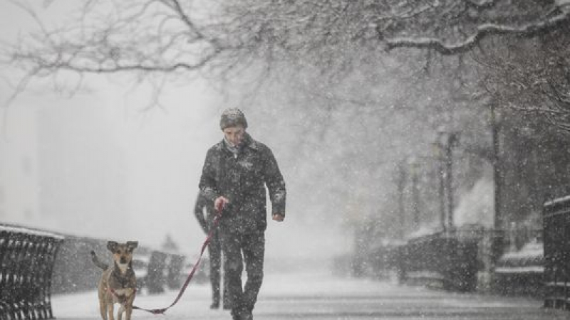 В Ню Йорк наваля над 10 см сняг през пролетта (СНИМКИ)