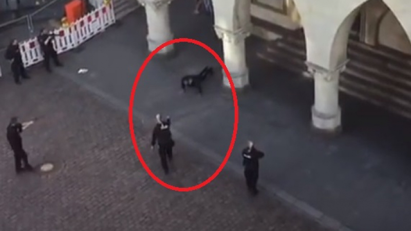 В Мюнстер е като на война! ВИДЕО показва как шестима въоръжени полицаи проснаха по очи мъж недалеч от мястото на касапницата