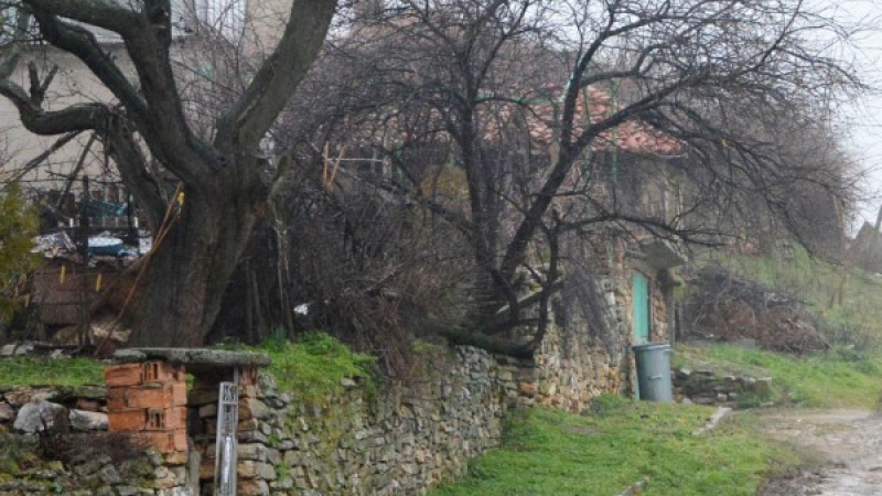 Плачевна гледка: Роми превзеха села в Северозапада, българските западат пагубно