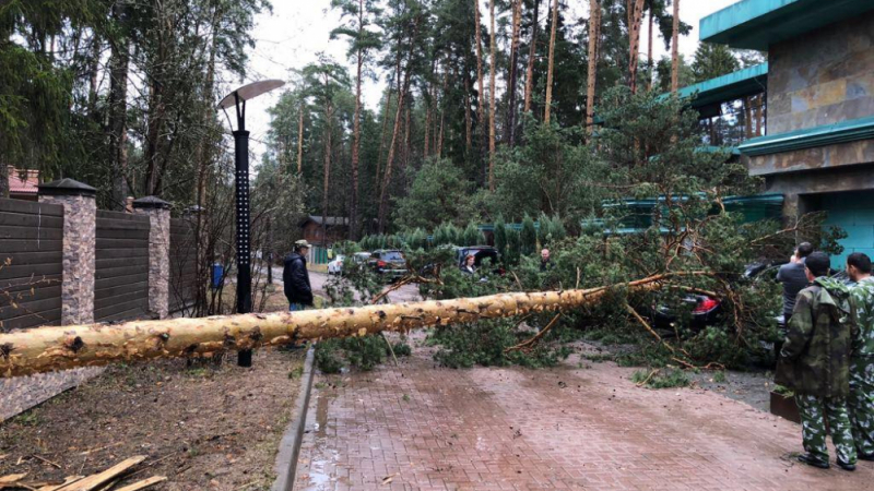 Ураганът в Москва не пощади и баровците от "Рублевка" (СНИМКИ)