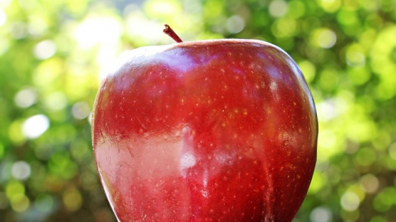 Глобиха пътничка с 500 долара за недекларирана ябълка