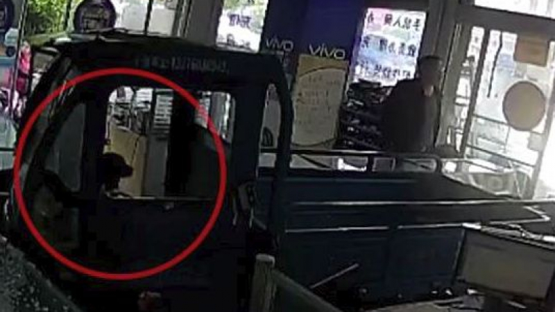 Куче "подкара" камиона на стопанина си и изпотроши магазин (ВИДЕО)