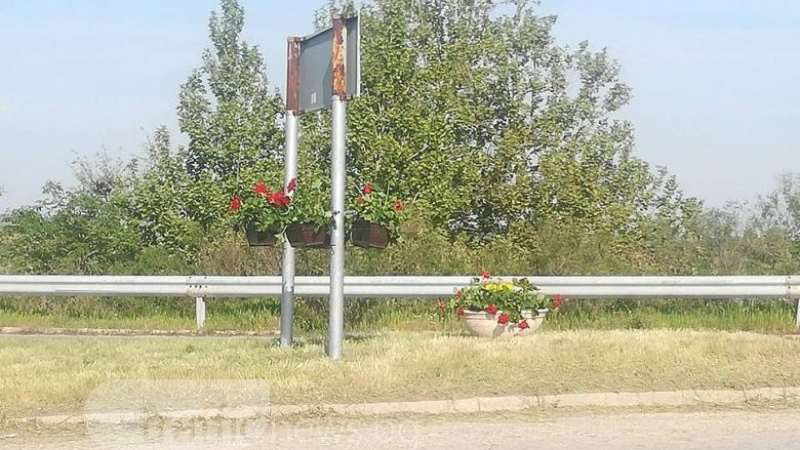 Мистериозен любител на цветята кара табелите по магистрала "Тракия" да цъфтят (СНИМКИ)