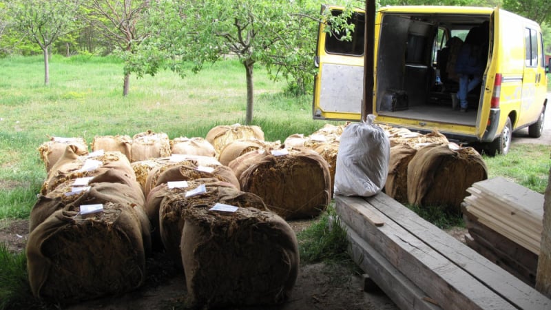 МВР показа шокиращи СНИМКИ от акция в дърводелски цех в село Пороминово