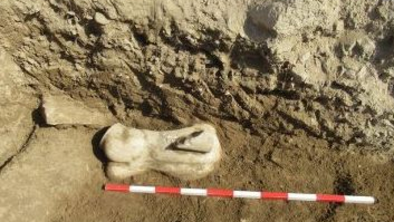Археолозите са смаяни от находка в Благоевград