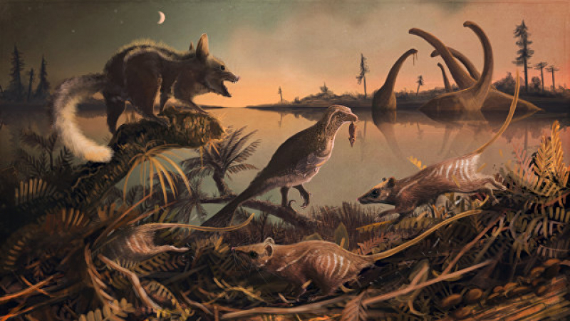 Учени от САЩ  установиха с какво са се хранили предците на хората в епохата на динозаврите 