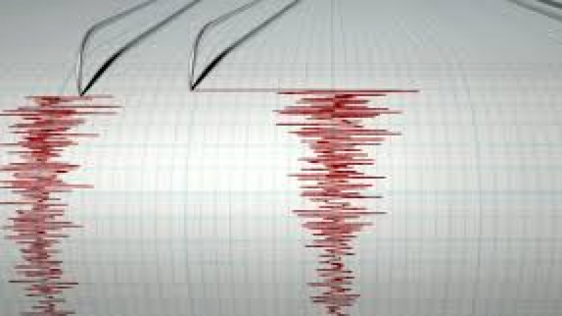 Силно земетресение разлюля полуостров Камчатка