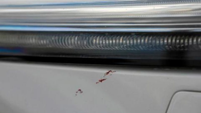 Как да премахнем насекомите от боята на колата?