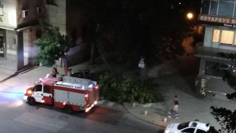 Страшен инцидент в центъра на Пловдив (СНИМКА)
