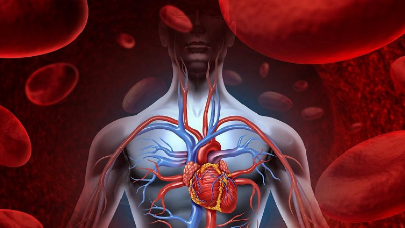 Тест за 30 секунди, за да разберете имате ли проблем със сърцето СНИМКИ