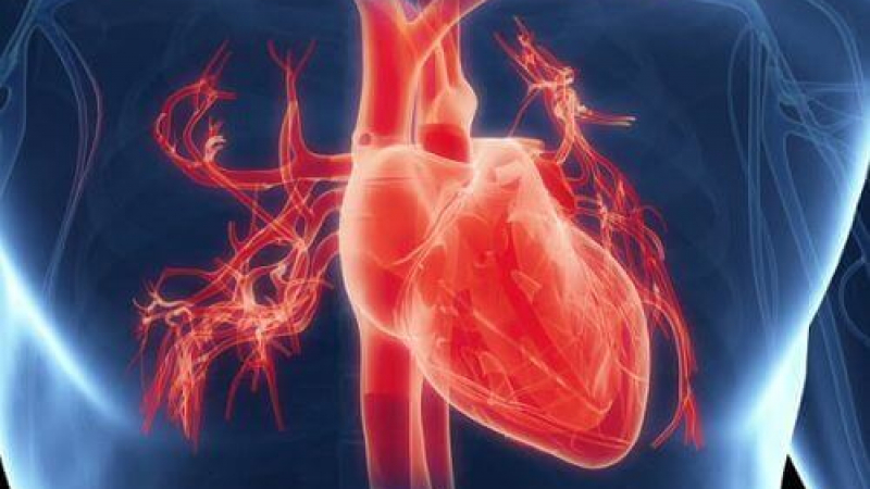 Жизненоважно: 8 признака на тялото алармират за сърдечни проблеми!
