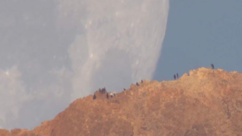 Небето пада върху Земята: Фотограф засне шокиращи кадри на Луната (ВИДЕО)