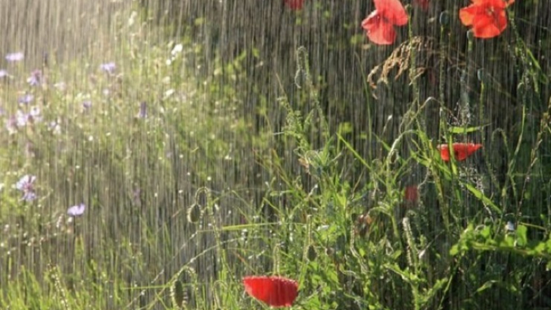 Внимание! НИМХ към БАН разпространи ранно предупреждение за обилни и интензивни валежи в половин България (КАРТА)