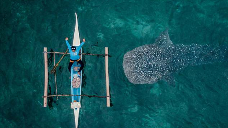 Дейли мейл: Българин засне уникалния момент, в който акула наближи заспал рибар...