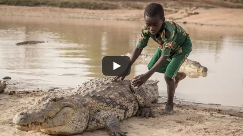 Защо това дете язди крокодил? (ВИДЕО)