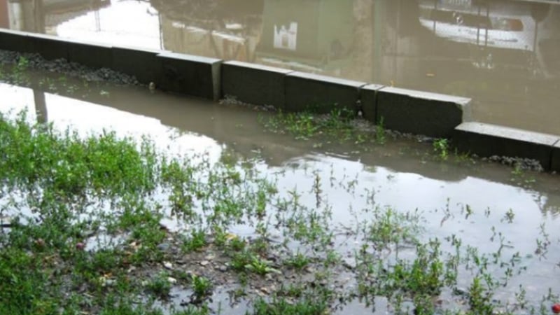 Стана ясна причината за наводнените къщи в Средец