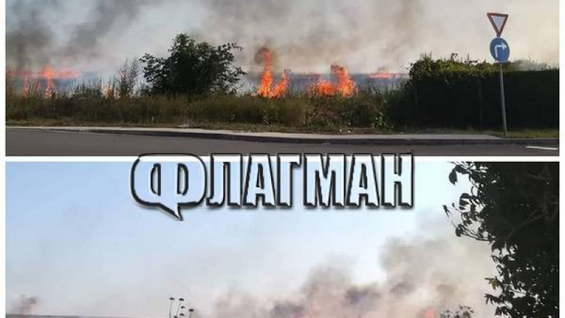 Огнен ад край Бургас! Пламъците да огромни и на голяма площ (СНИМКИ)
