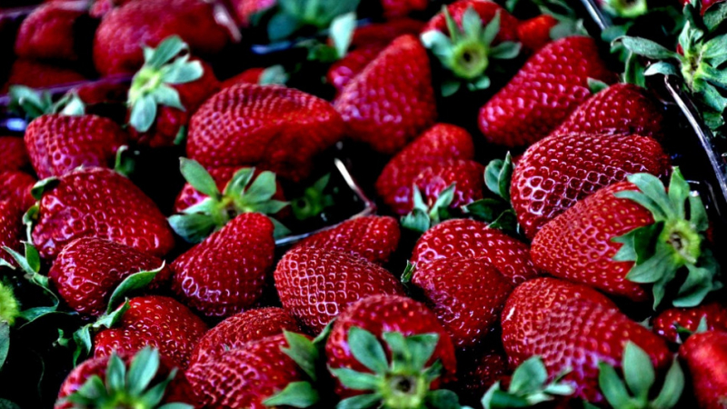 5 шокиращи факта за ягодите