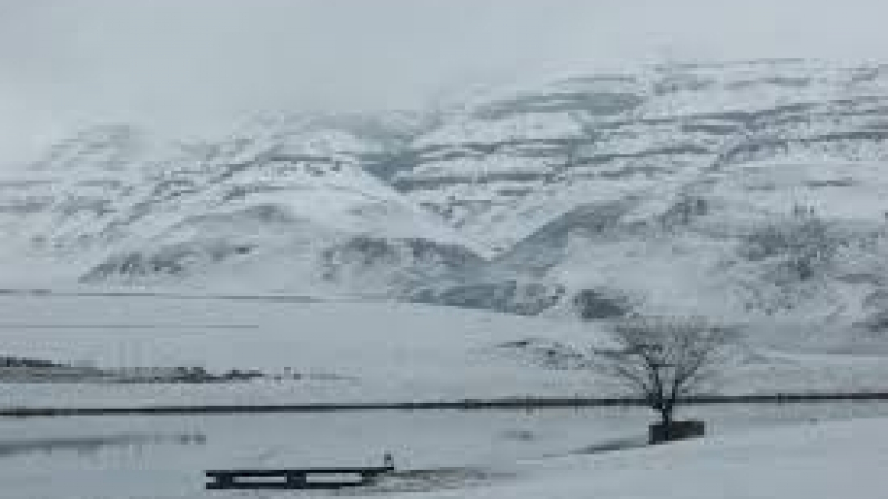 Климатът откачи! Сняг покри Южна Африка (ВИДЕО)