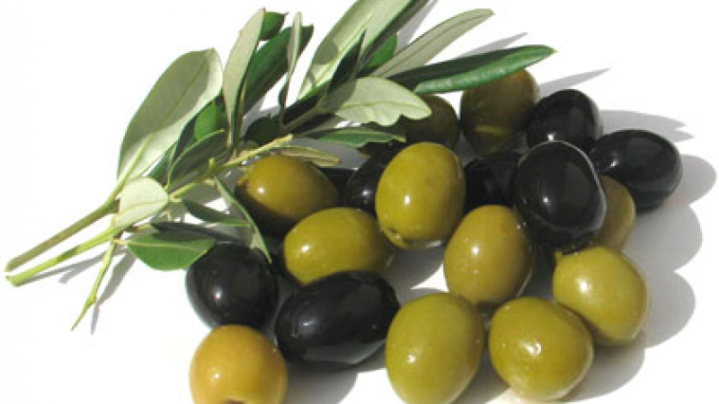 Италиански учени откриха неподозираните ползи от маслиновите листа