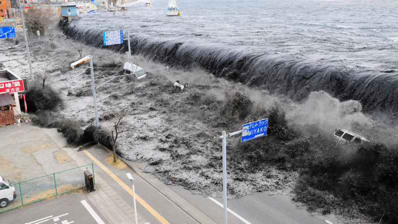 Силно земетресение и опасност от цунами изправиха на нокти Япония