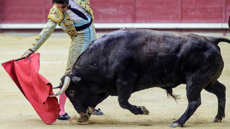 Разярен бик смъкна част от скалпа на едноок испански матадор пред шокираните зрители (СНИМКИ 18+)