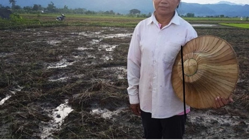 Унищожиха реколтата на фермери в Тайланд, за да спасят децата