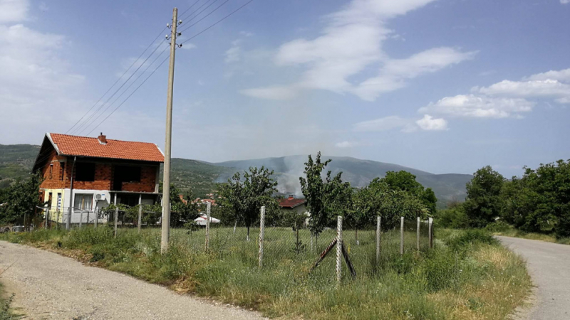 Бусове от София се изсипаха в село в Югозапада! Правят чуден бизнес