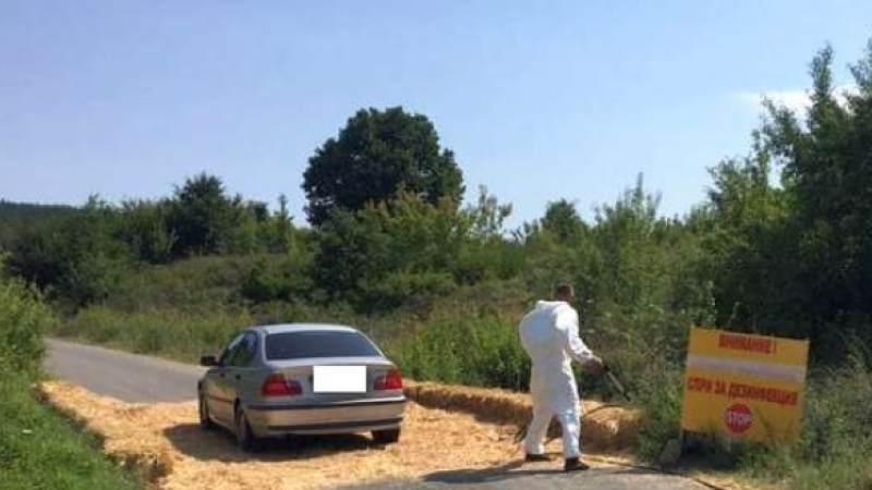 Страшни мерки срещу чумата в Бургаско, проверяват и дезинфекцират всяка кола и шофьор (СНИМКИ)