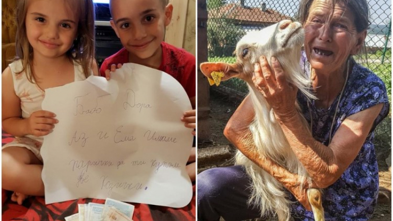 Трогателен жест! Мили дечица си счупиха касичките, за да купят нова козичка на баба Дора (СНИМКА)