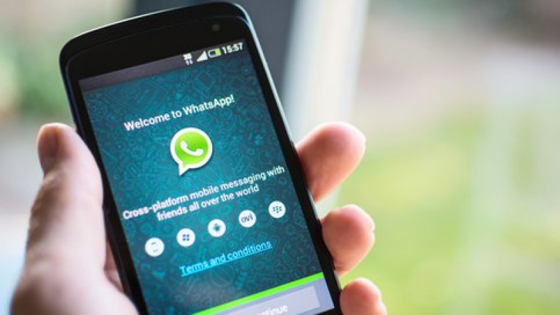 Зловещо създание тероризира потребителите на WhatsApp (СНИМКИ)